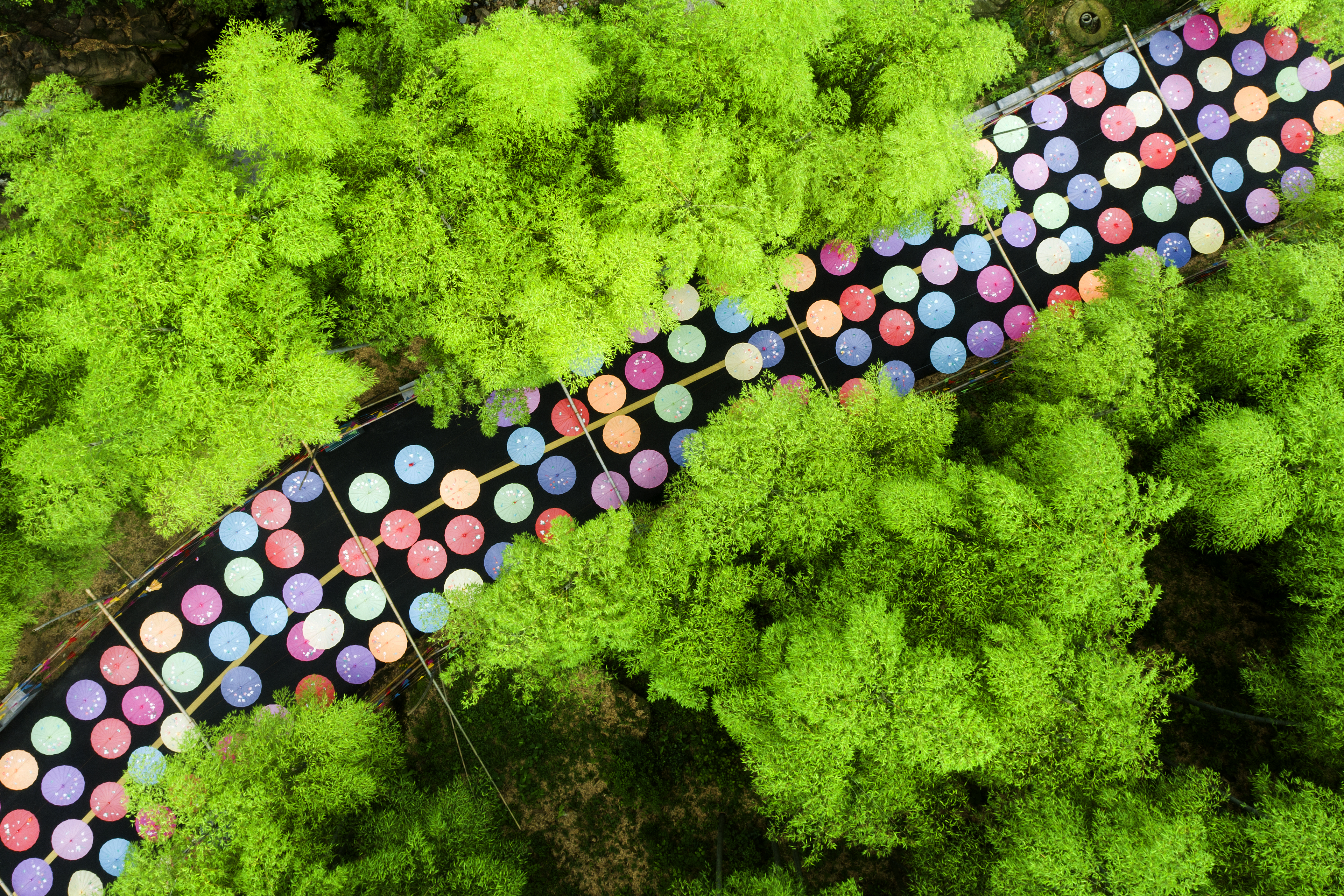 浙江最好玩的山水景区,浙江有什么幽静的地方