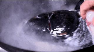 在合肥能吃到全中国的美食,合肥最好吃的鱼头汤滨湖