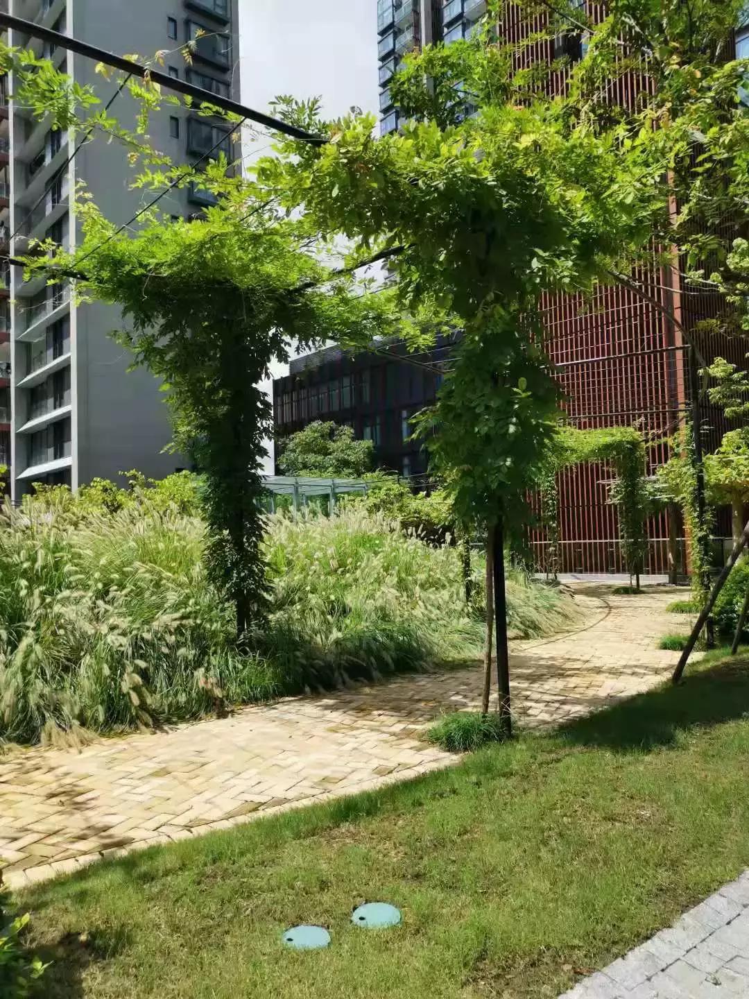 上海长风沁和园最新消息,长风沁和园怎么样