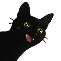 黑猫是不是特别的稀有,黑猫真的看不清吗