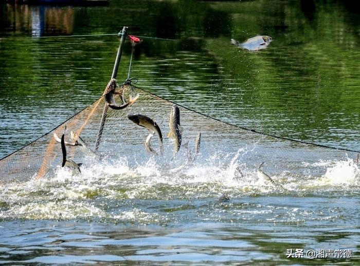 书写春联迎新春笔墨浓情送祝福,书写新篇章春联