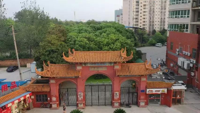 再见了老南昌,再见了老兵视频