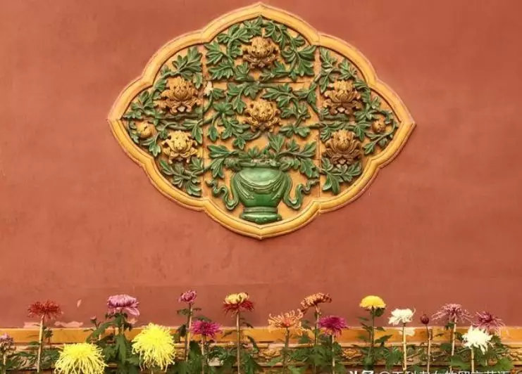 都闪开！这才是最牛逼的菊花宝典