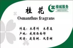 物业温情服务手册,物业暖心服务有哪些推荐