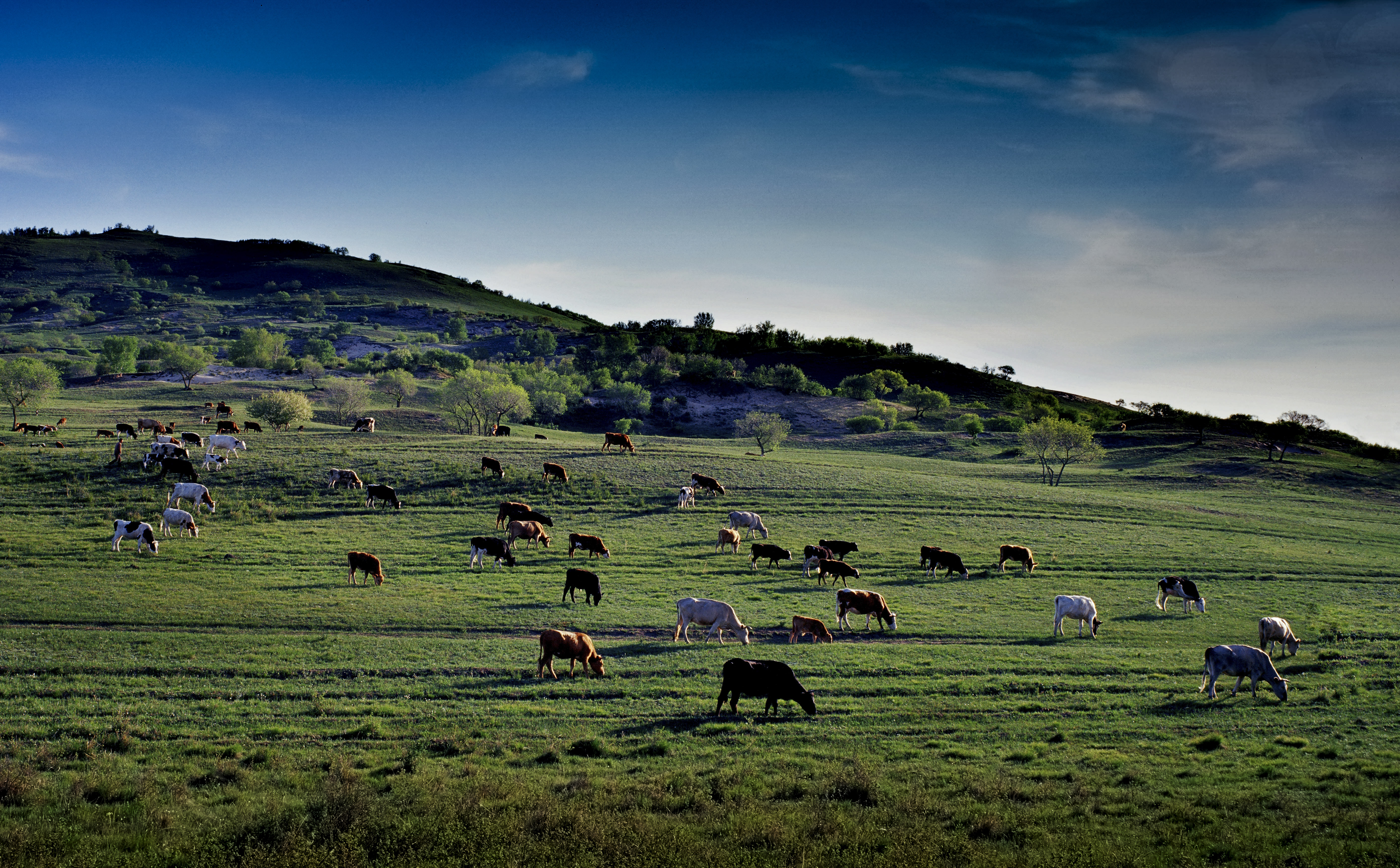 大美坝上草原全景,大美坝上风光系列之一