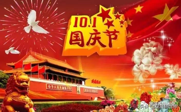 寓意好的热带观赏鱼,比较有寓意的观赏鱼