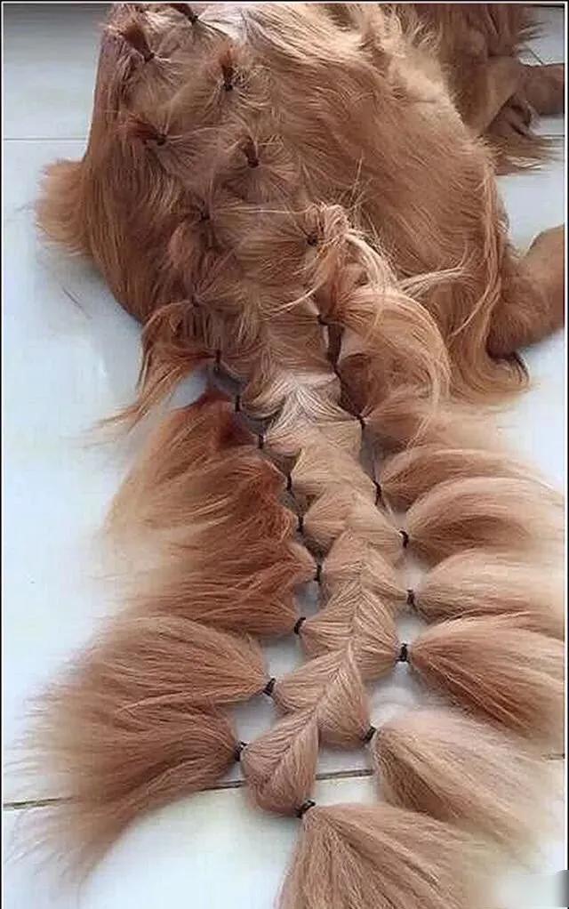 泰国cosplay小哥在泰国出名吗,泰国小哥新cosplay