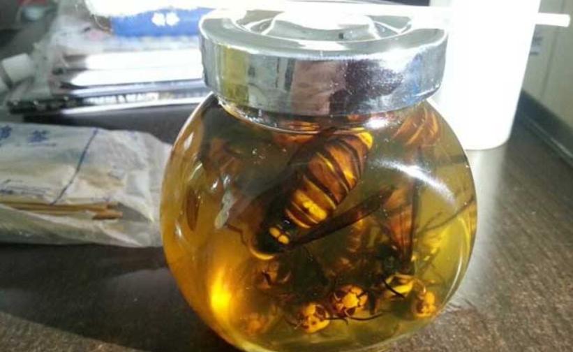 杀人大黄蜂是真的入侵美国了吗,杀人大黄蜂是什么