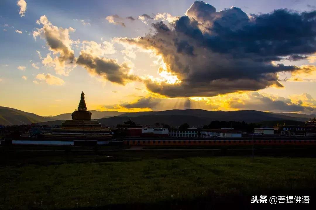 五个佛家禅理小故事,佛教智慧小故事