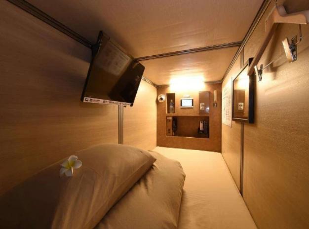 日本药丸酒店爆红，年轻人们一拥而上，晚上有动静真的方便？