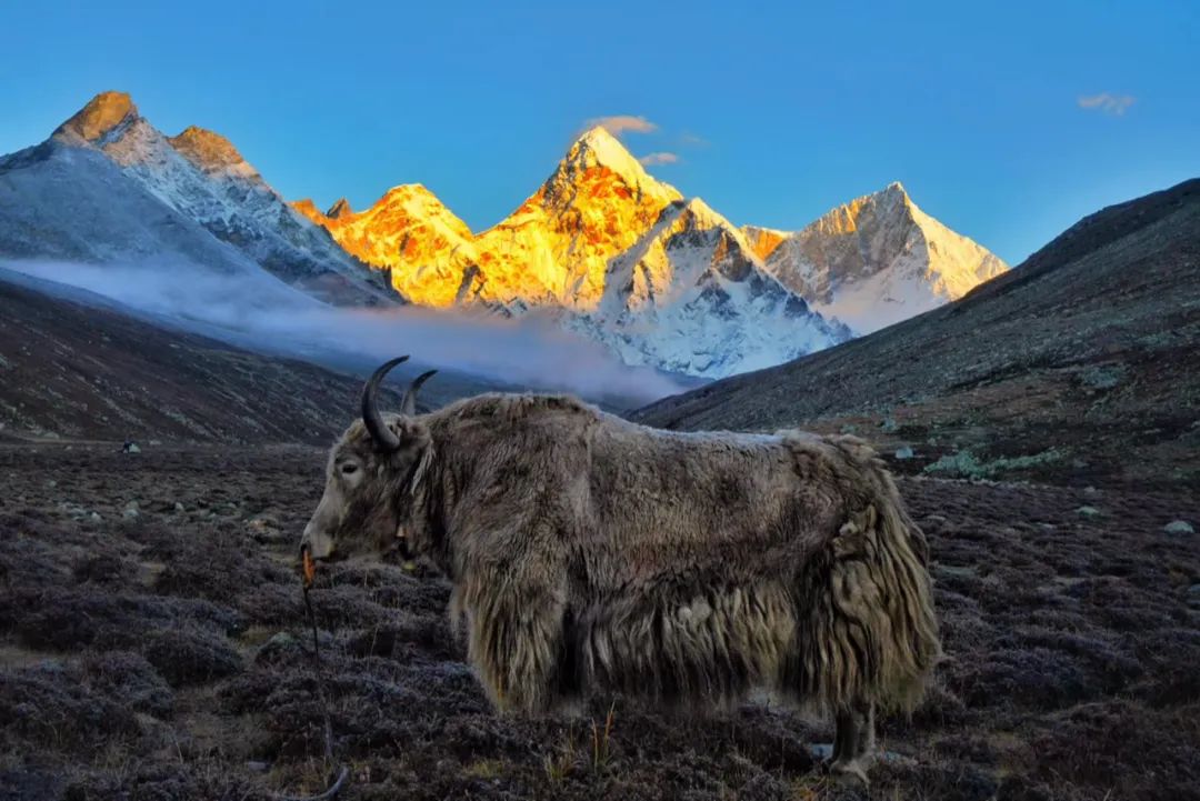 希夏邦马大环线徒步攻略,希夏邦马大环线最高海拔