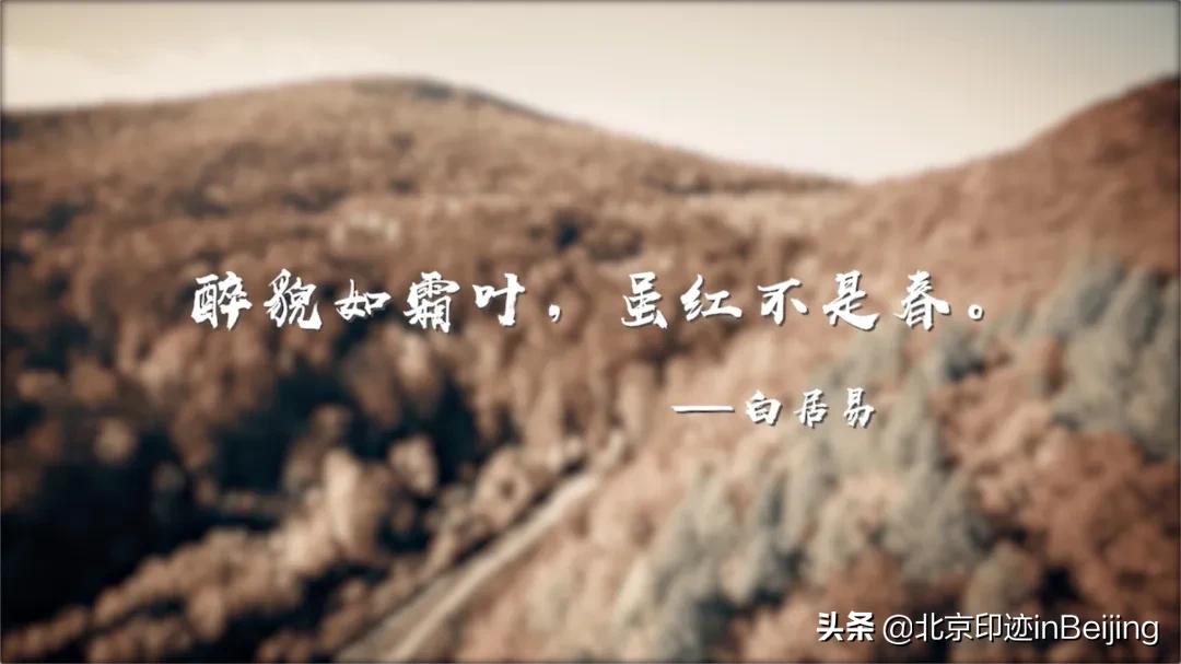 香山静宜园图片大全,香山静宜园二十八景