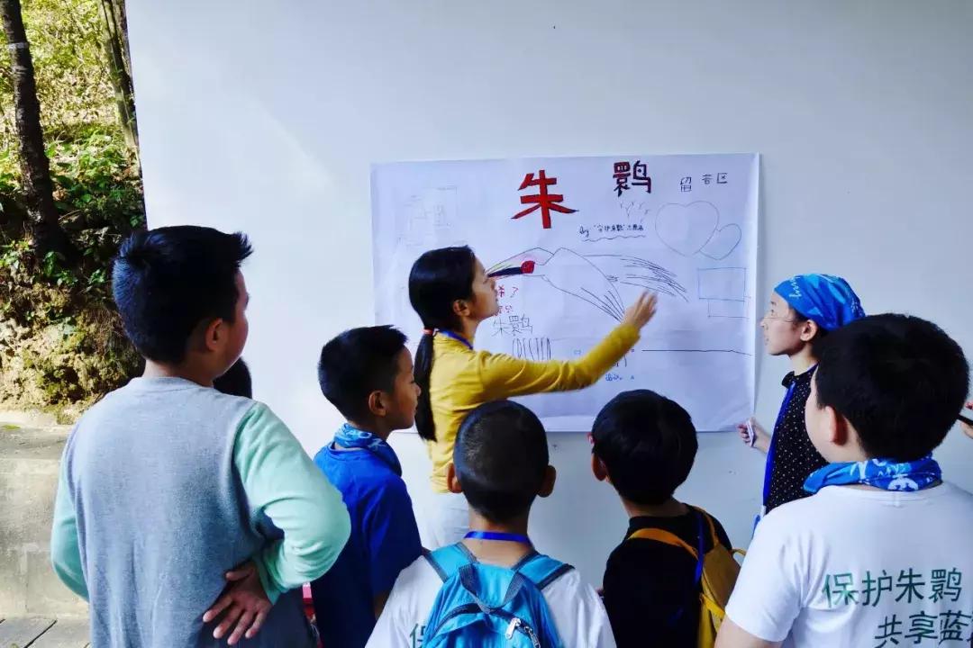 保护朱鹮,朱鹮自然保护区有利条件