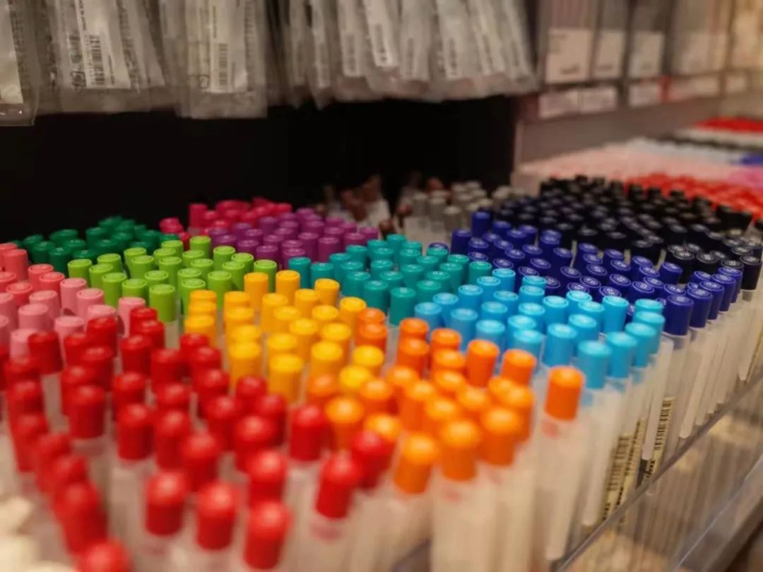 佐贺在日本的地理位置,佐贺市有什么好玩的地方推荐