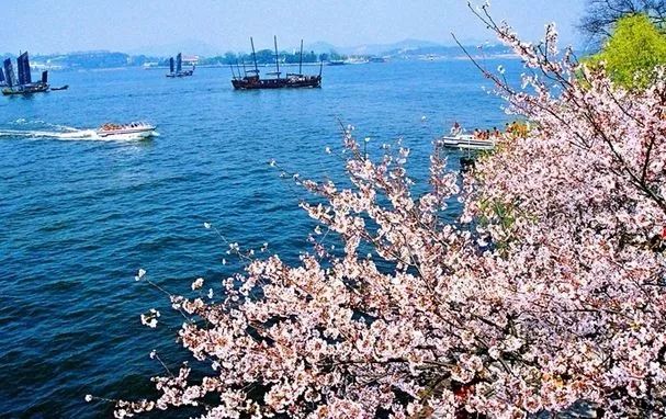 广州治愈心情的地方,可以治愈心情的城市