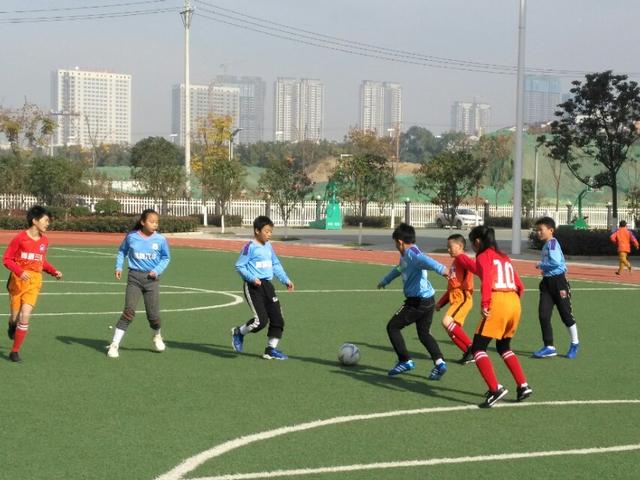 激情盛夏绿茵赛场展雄风,激情飞扬绿茵赛场