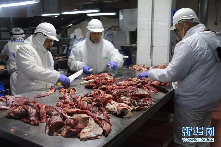 庆祝改革开放40周年重要讲话全文,新华社评论员改革潮涌