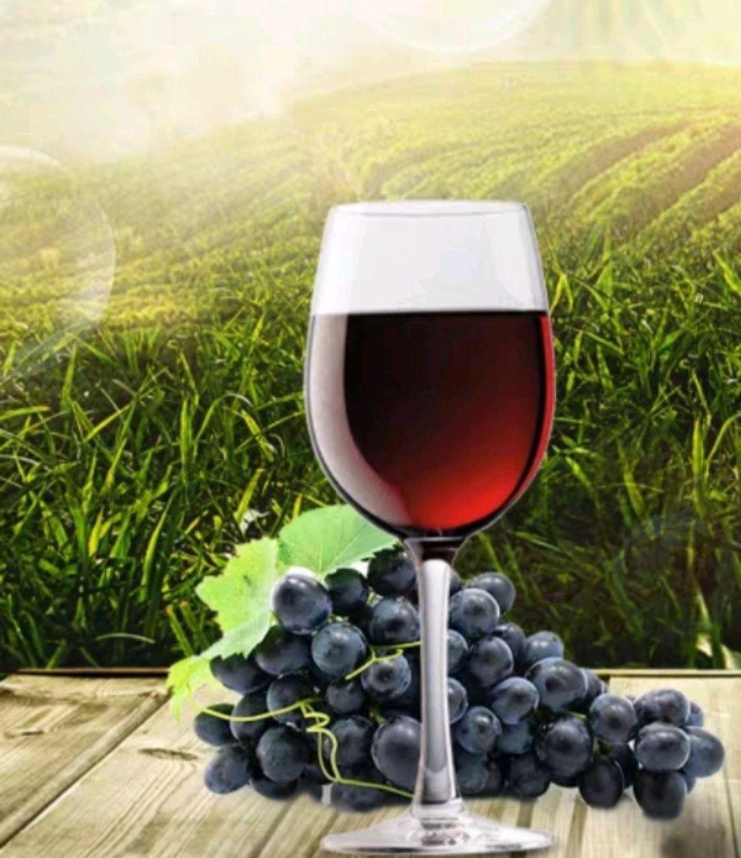 自制葡萄酒的正宗做法,自制葡萄酒需要蒸馏后好喝吗