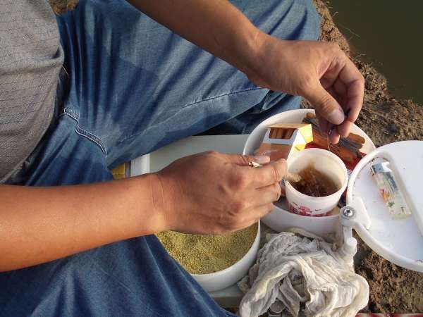 麦芽糖粘小米野钓效果怎么样,麦芽糖蘸小米钓鱼