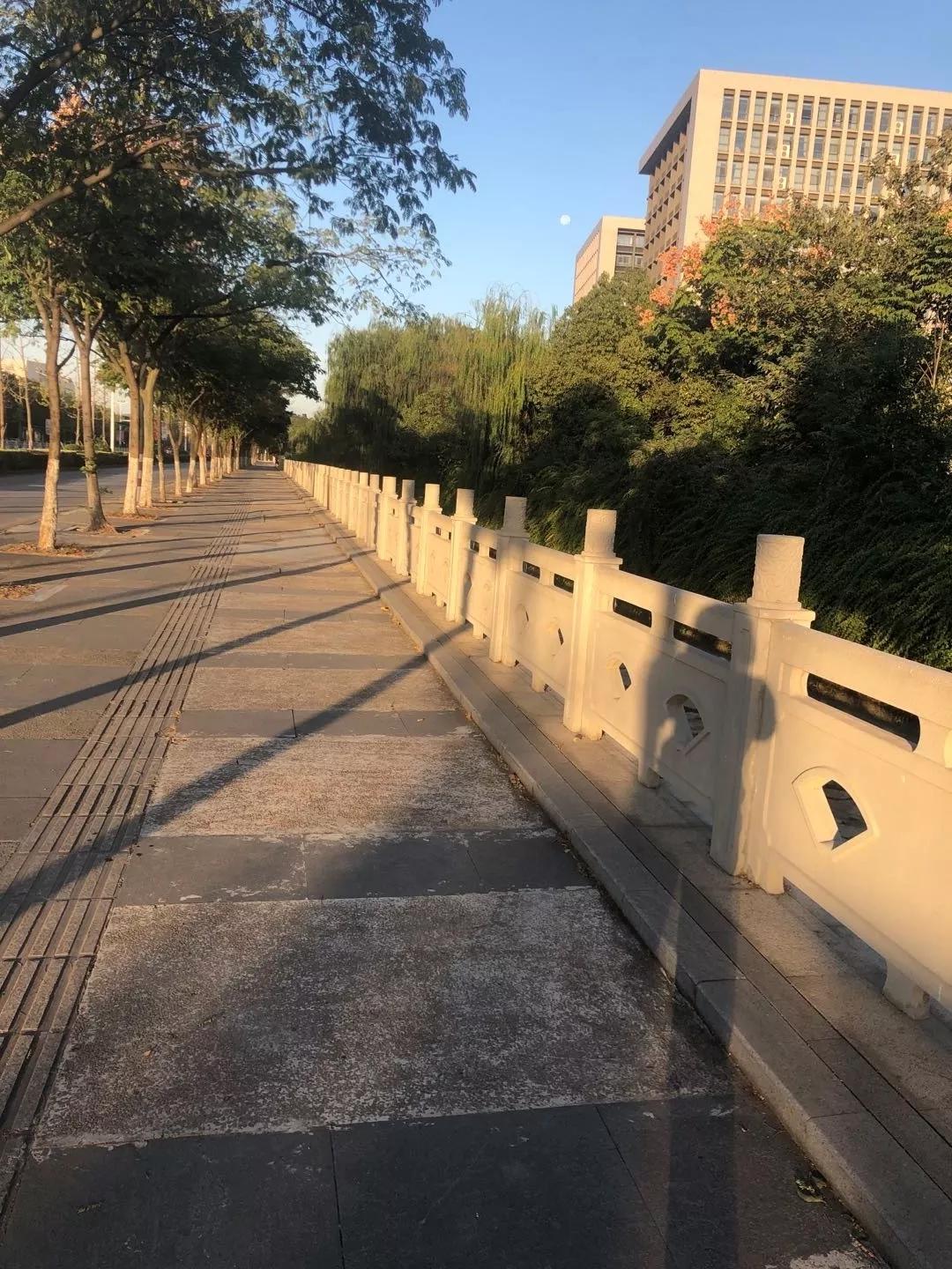 九十多岁老人跑步,九旬老人跑步视频