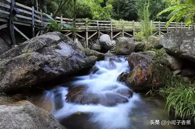 回到梅州你后悔了吗,你回梅州了吗