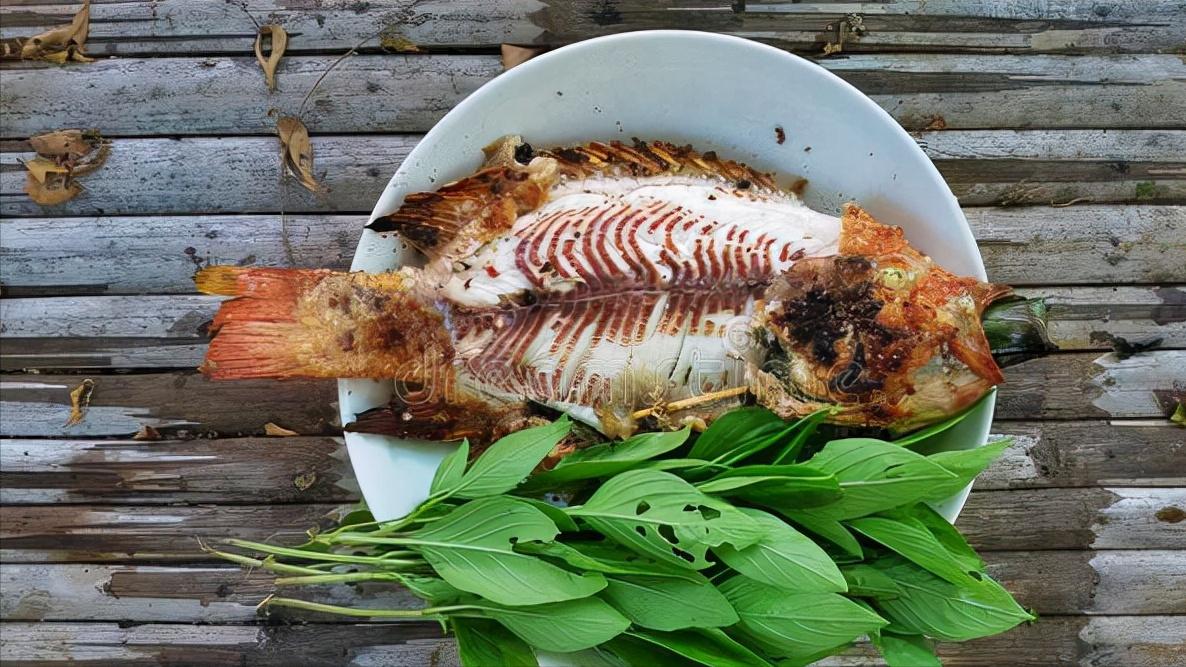 罗非鱼是外来入侵物种吗为什么,罗非鱼是入侵物种还是引进的