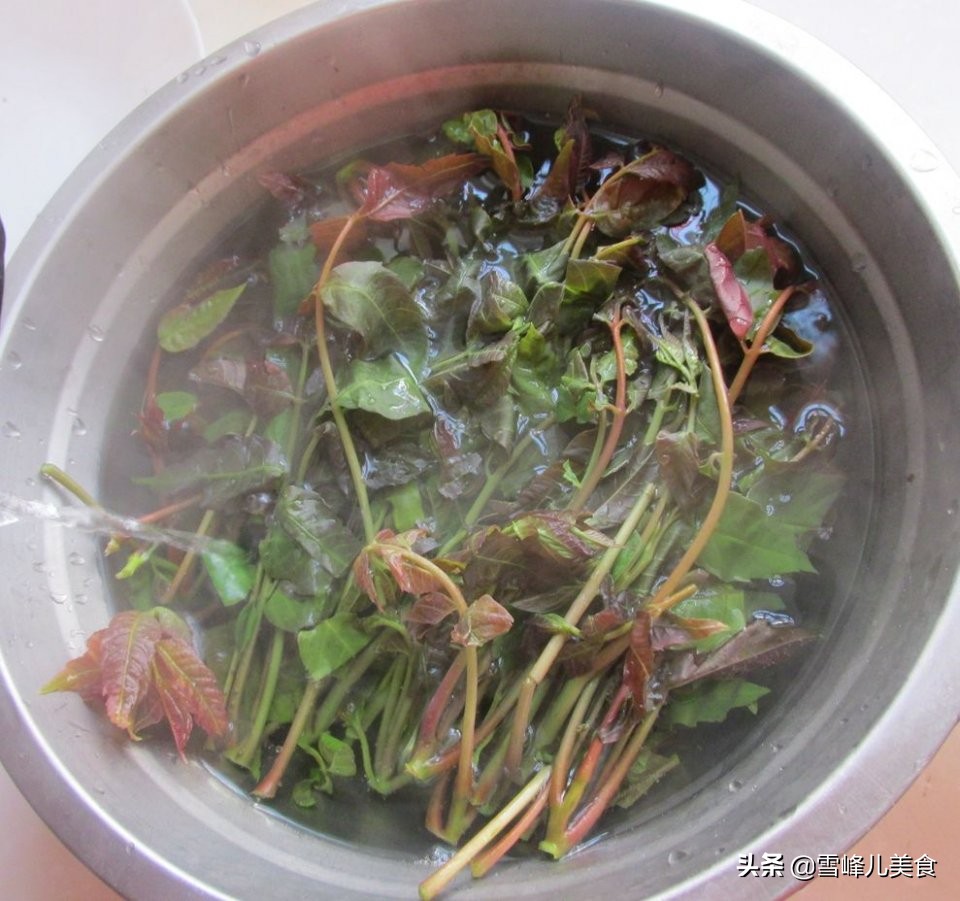 香椿炒什么才好吃啊,香椿怎样做美食才好吃呢