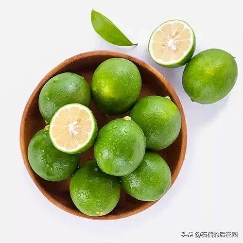 颜值超高又好喝的绿茶冰饮,西柚高端饮料