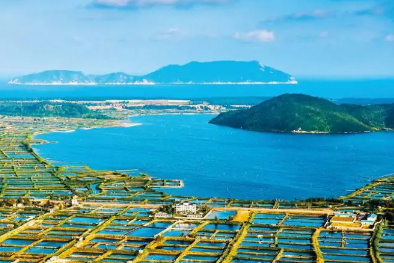 海南矿产资源储量,海南槟榔之乡