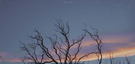 ‘我将新欢视为初恋像旧爱致歉’‘这不就是你梦寐以求的长大吗’