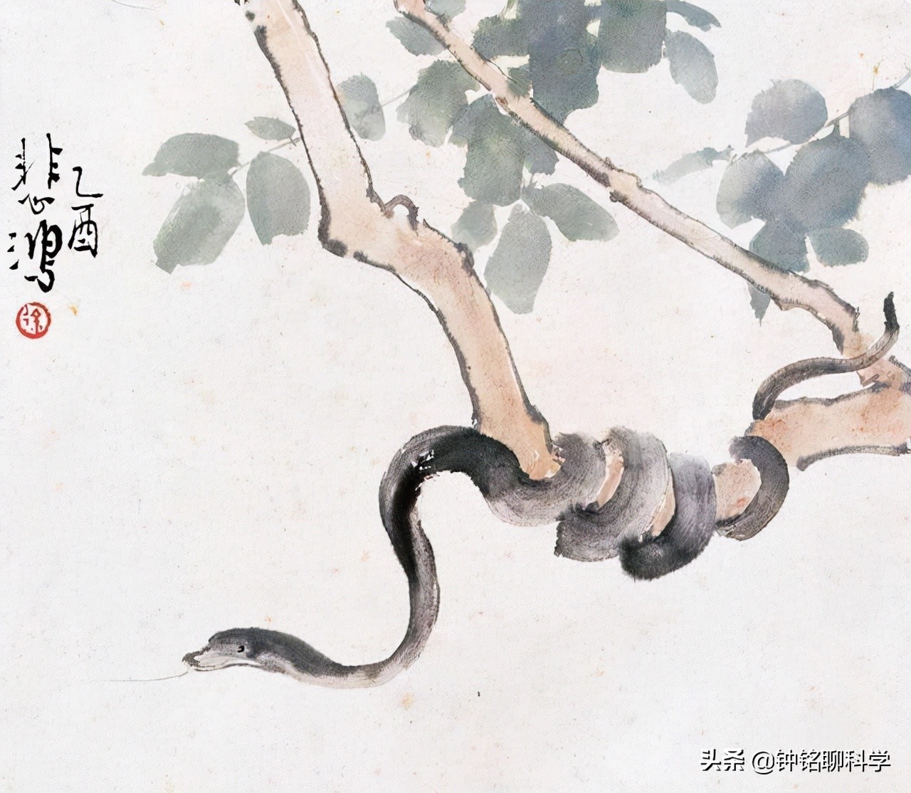 蛇冬眠挖出来是不是没攻击性,蛇冬眠在生物上是什么行为