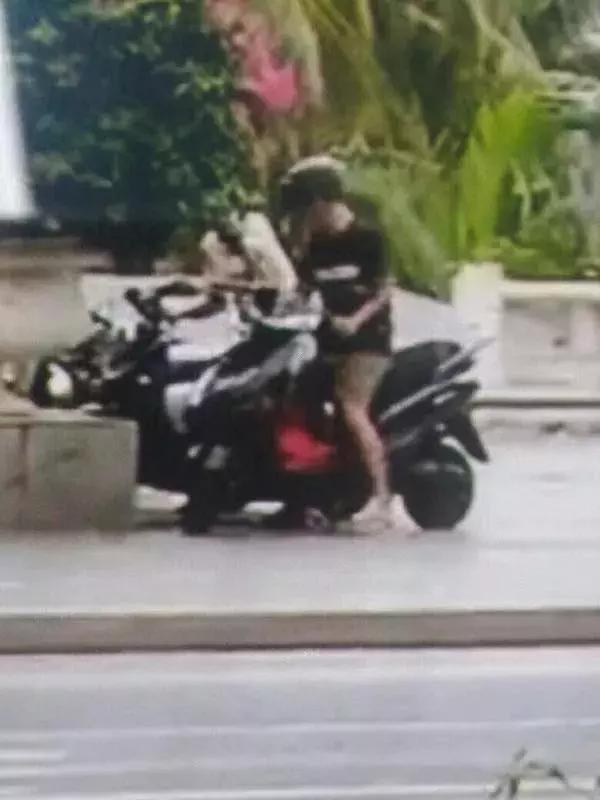 严打盗抢骗,严打扫黑犯罪