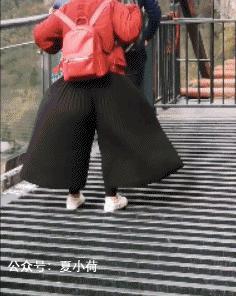 搞笑动图gif动物,搞笑动图gif沙雕