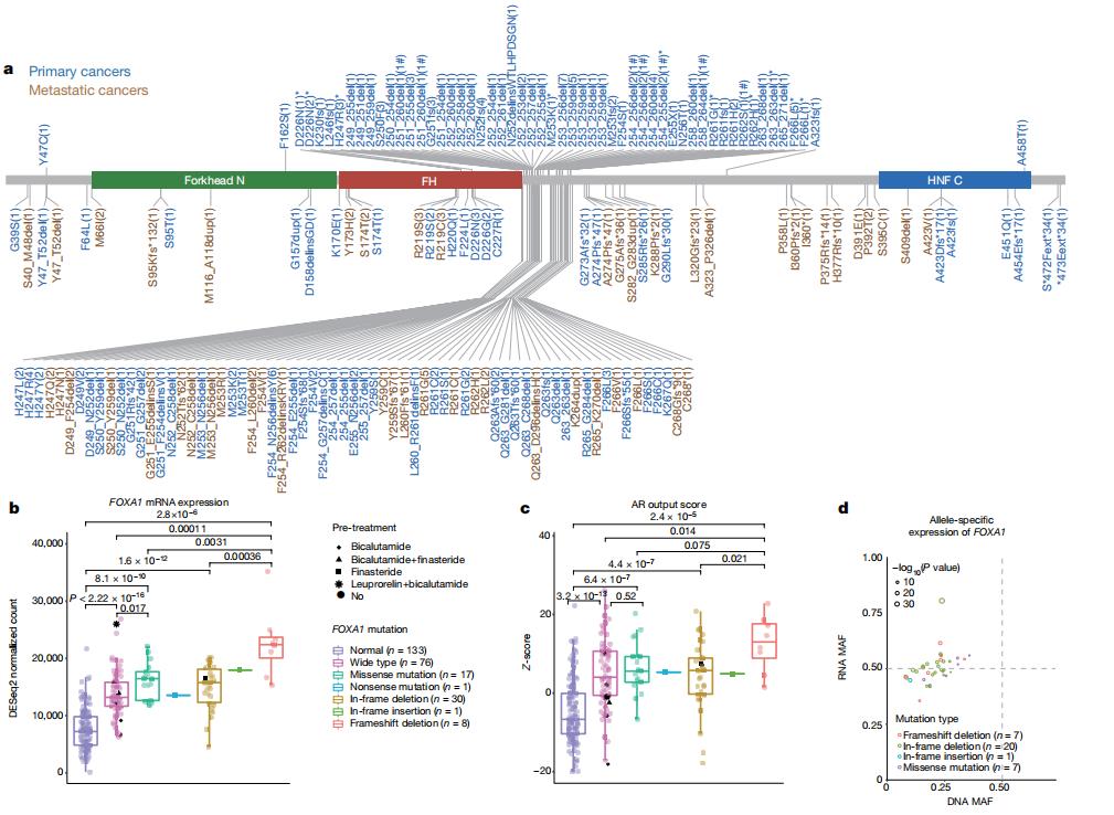 和国外的前列腺癌患者相比，我国的前列腺癌患者的基因突变类型不一样，我国患者仍然可能面临无药可医