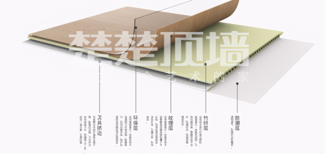 楚楚顶墙跟楚楚有什么关系,楚楚顶墙介绍