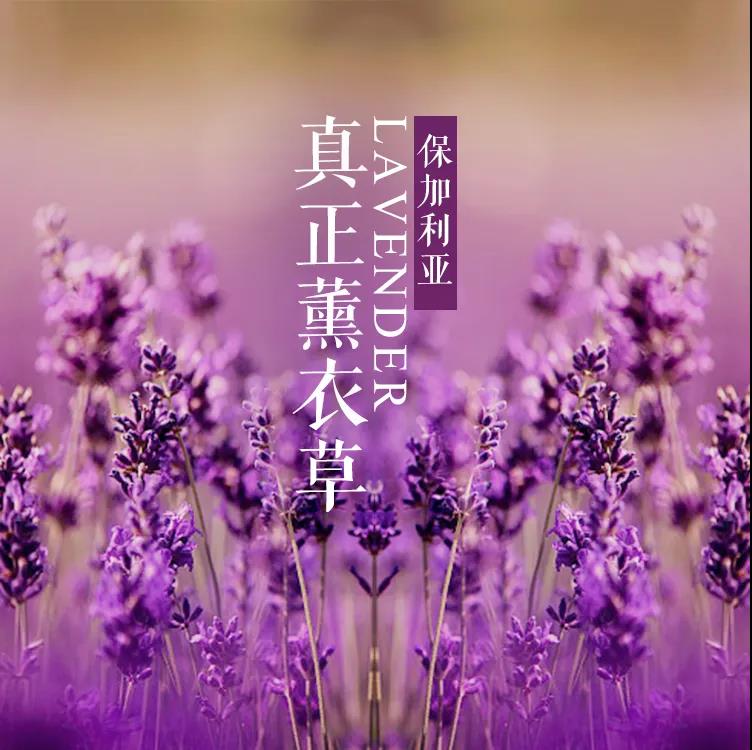 空气清新剂去除臭味,改善家中空气用空气清新剂