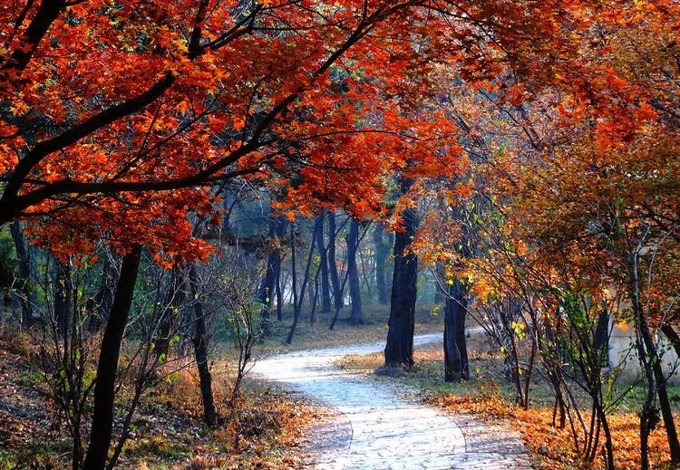 秦皇岛秋天去哪里玩,秦皇岛秋天游玩的景点