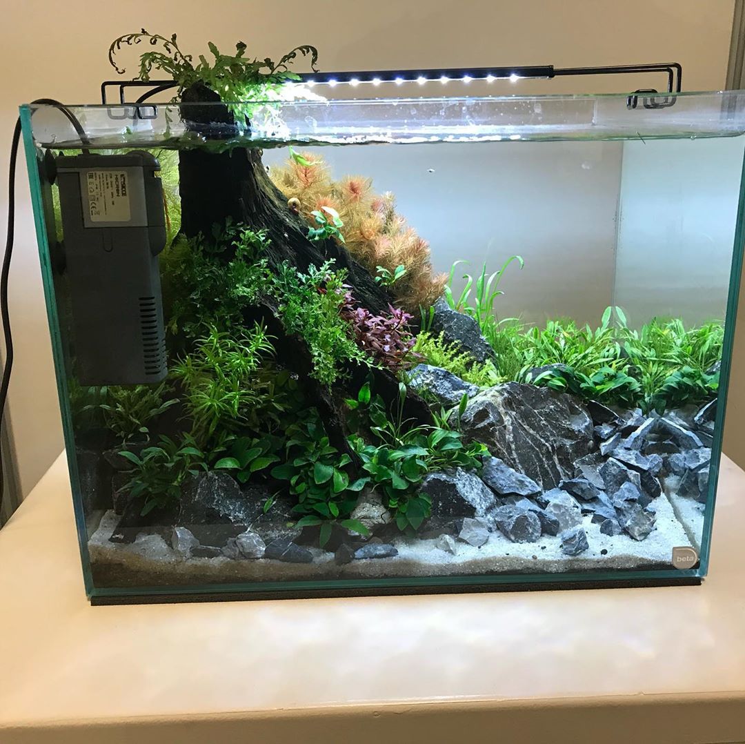 过滤的方法和注意事项,老生常谈的说说