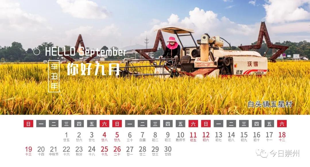 高档送礼台历,精美台历免费领取