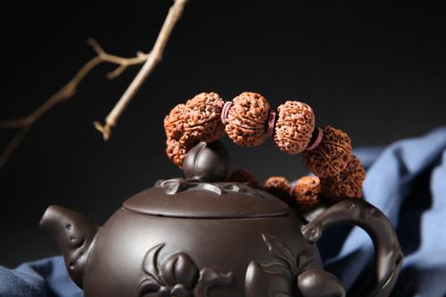 金刚不同阶段的分解图,金刚菩提什么桩型最好