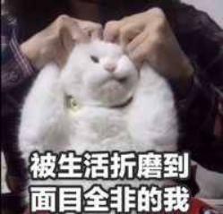 “菊花一紧”，痔疮手术记录