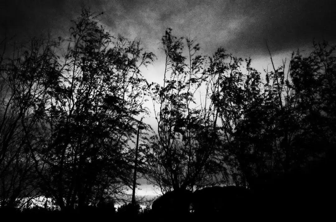 字节跳动的lark属于哪个部门,字节跳动都有哪些团队