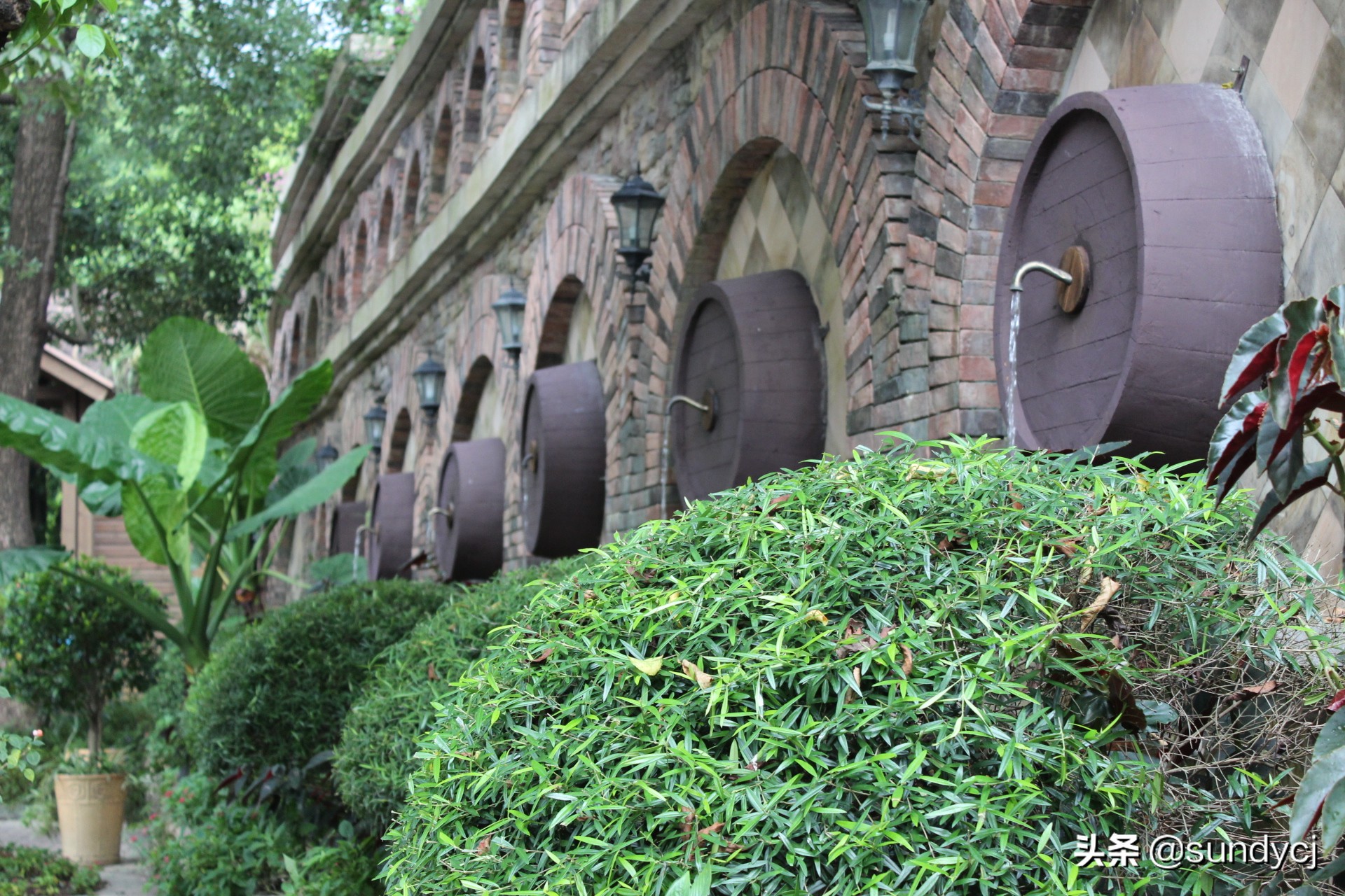 小奔奔,长安新能源奔奔自驾游西藏