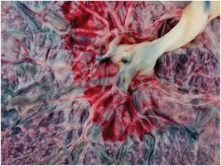 为什么只有人类女性会有大姨妈,为什么女人会来大姨妈