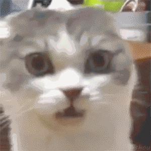 ‘吃饱了没事做’的这些奇葩又沙雕的吉尼斯世界纪录你了解过吗?