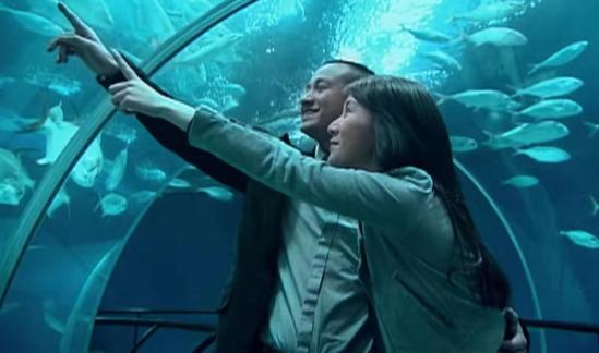 看了蜗居感觉小贝很可怜,蜗居小贝为什么这么快走出悲伤