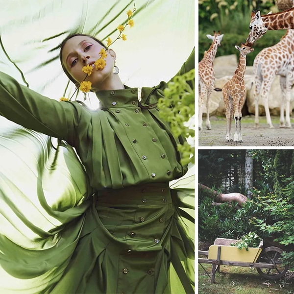 连衣裙的裁剪方法鸡心领,连衣裙的裁剪方法视频教程