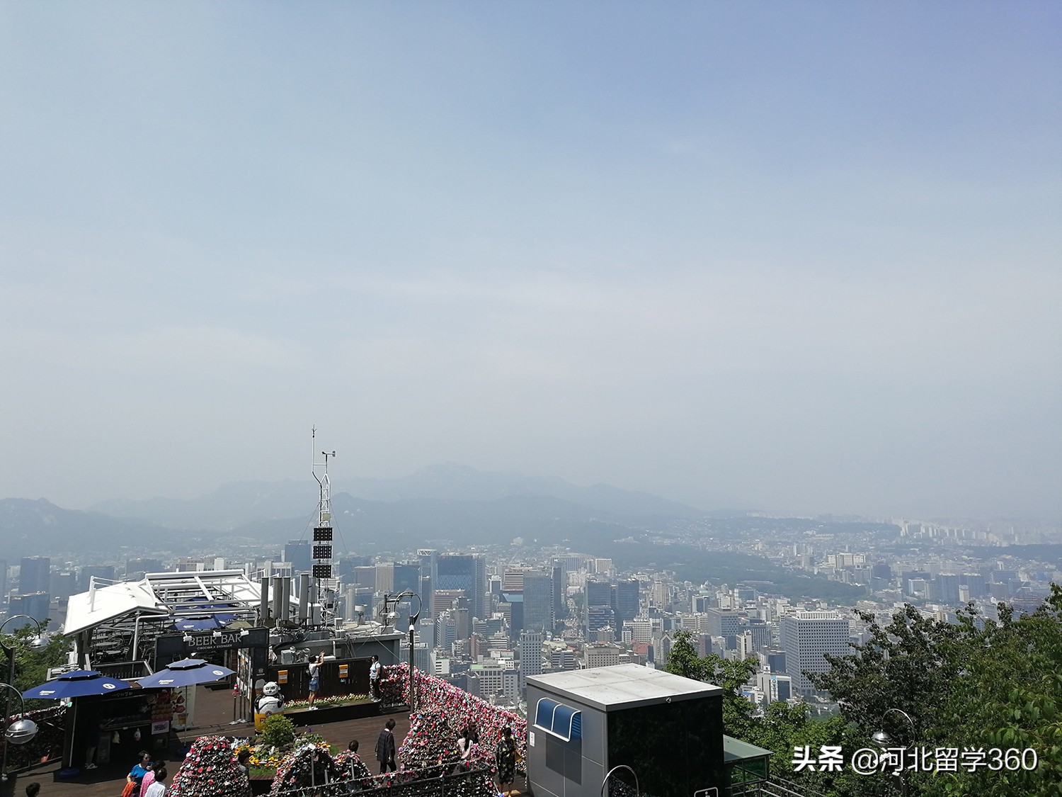 韩语小白自学什么软件好,韩语学习最佳免费app