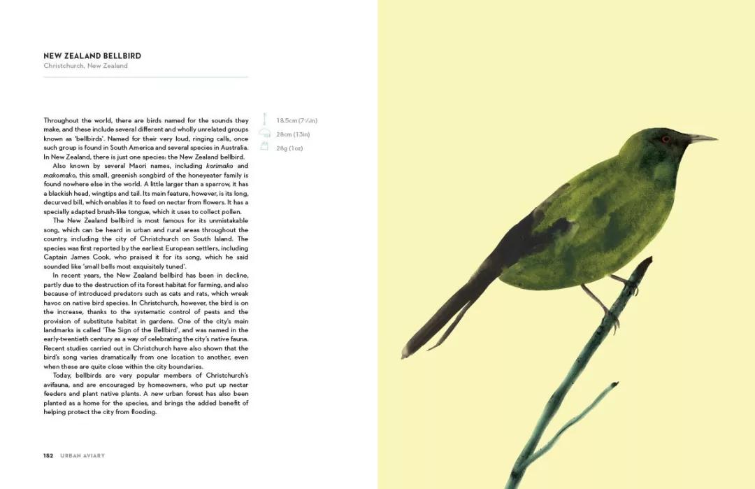 童真稚趣,稚拙童趣天真