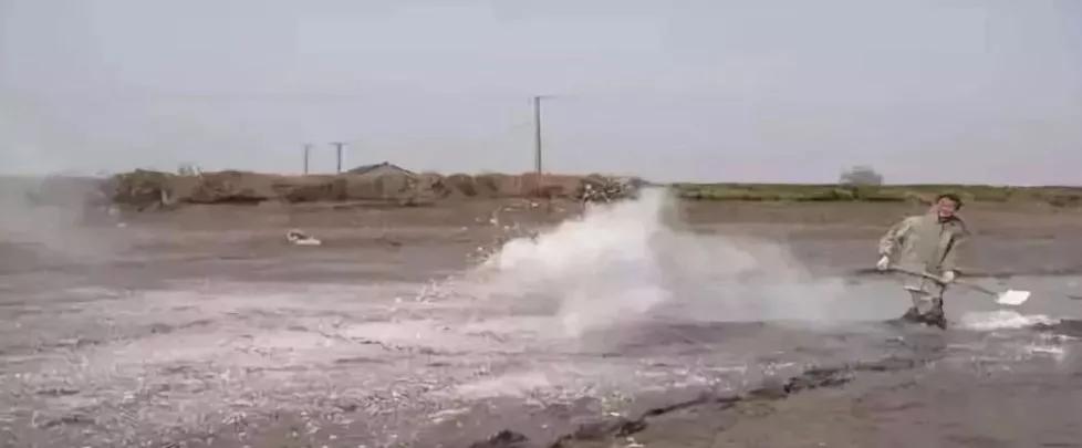 水产养殖生石灰你意想不到的用法,生石灰水产养殖中的使用禁忌